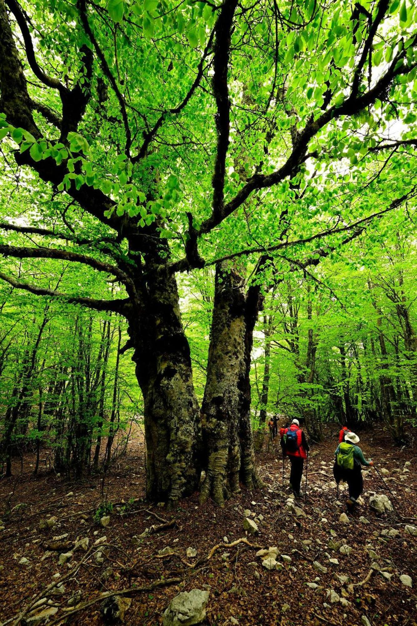 Mandra Chiusilla Villa Collesano Bagian luar foto